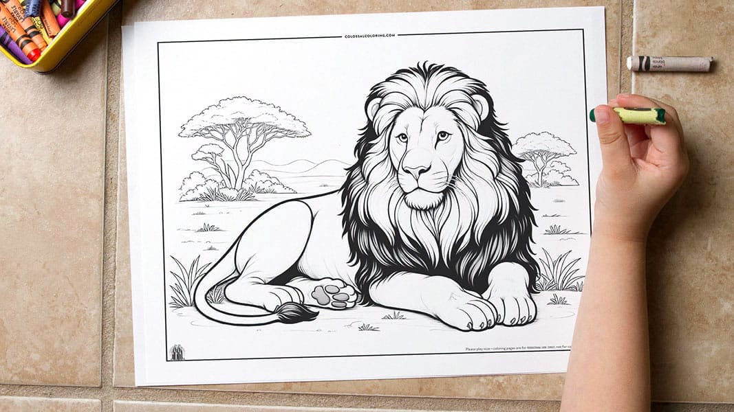 Lion • Free Printable Coloring Page