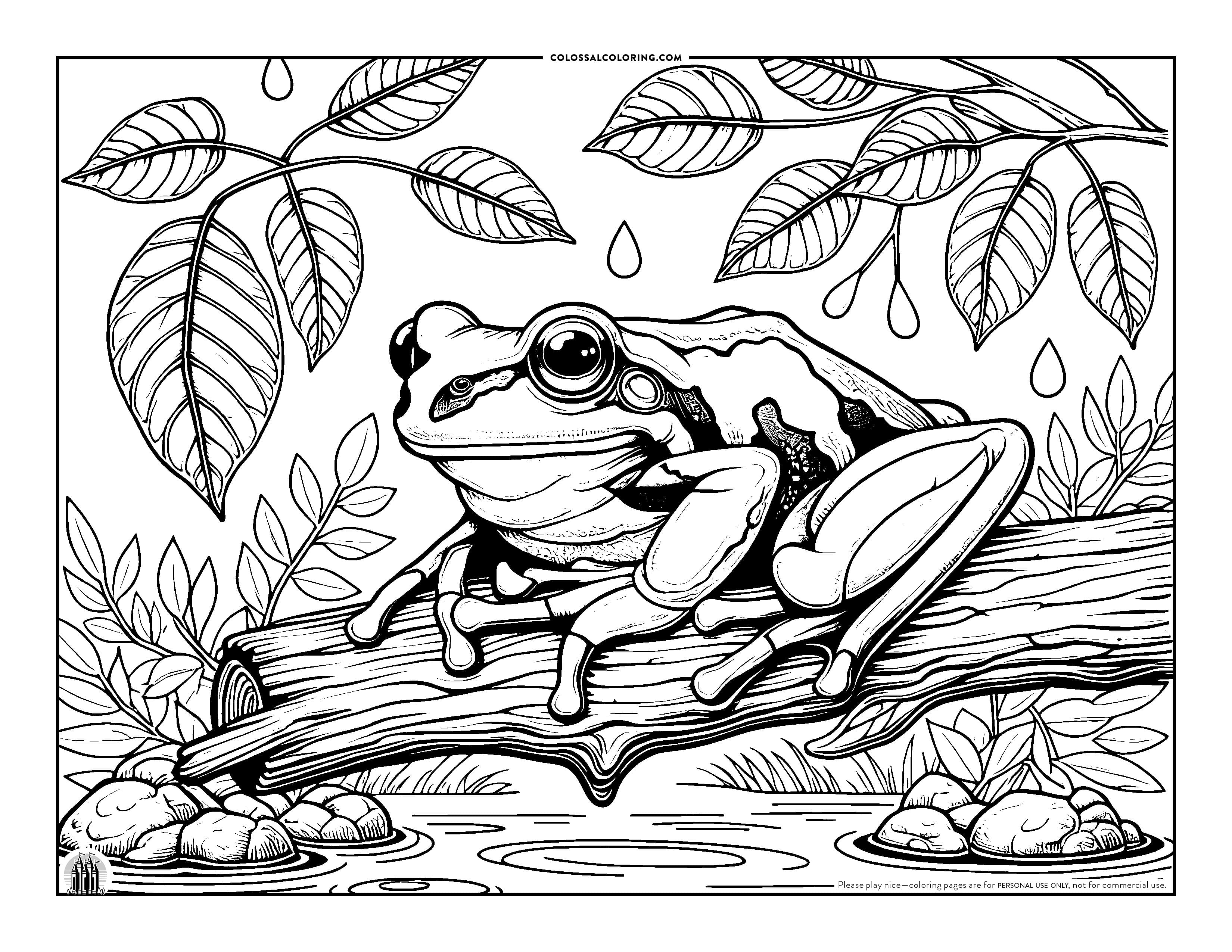 Reptiles & Amphibians Archives • Colossal Coloring