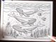 Humpback Whale coloring page