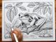 Tree Frog Coloring Page