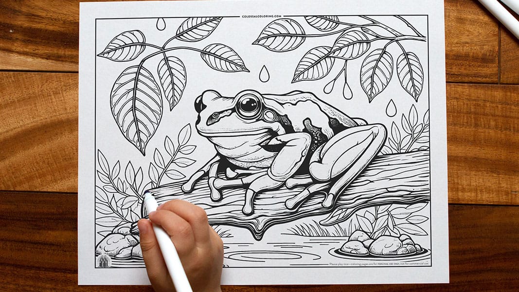 Tree Frog • Free Printable Coloring Page